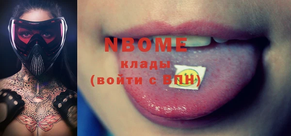 гашик Дмитров