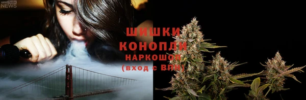 крисы Дмитриев