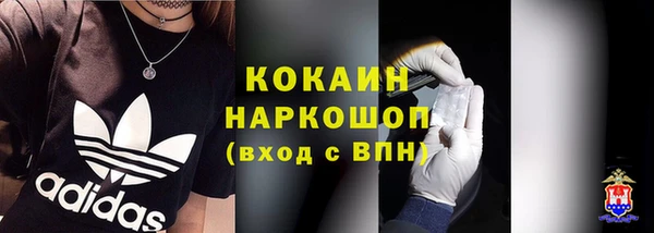 крисы Дмитриев