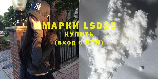 гашик Дмитров