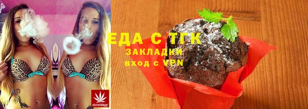 гашик Дмитров