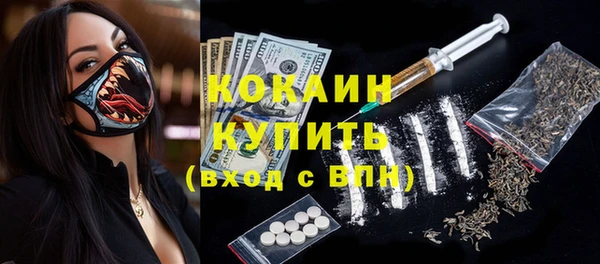 гашик Дмитров