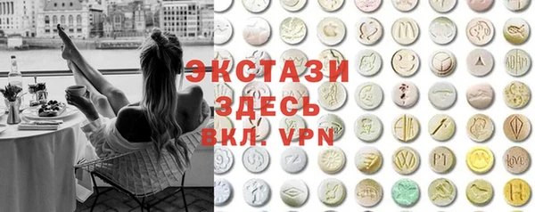 гашик Дмитров