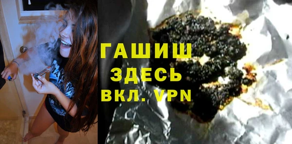 гашик Дмитров