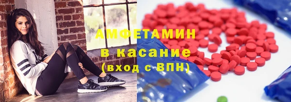 гашик Дмитров